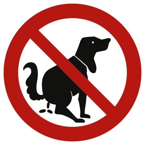 Dreifke® Schild Verbotszeichen | Hier kein Hundeklo | Alu 20 cm | wetterfest