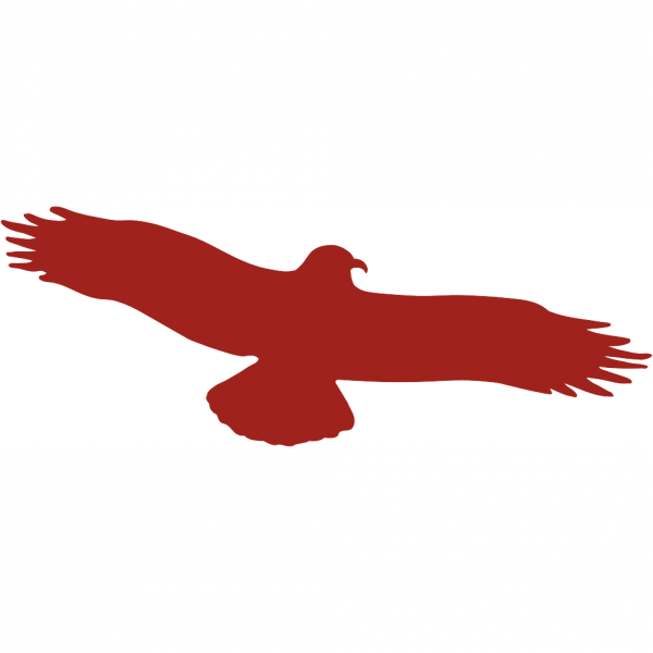 Dreifke® Aufkleber Piktogramm Vogel einzeln rot, Folie, 195x75 mm