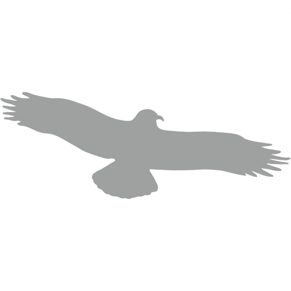 Dreifke® Aufkleber Piktogramm Vogel einzeln grau, Folie, 475x175 mm