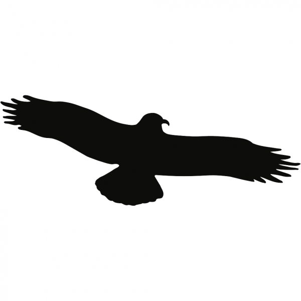 Dreifke® Aufkleber Piktogramm Vogel einzeln schwarz, Folie, 195x75mm