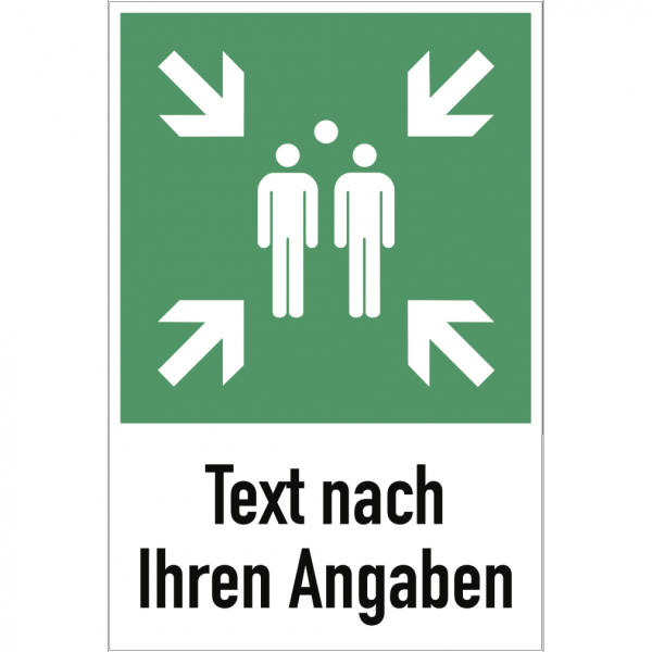 Dreifke® Schild Sammelstelle mit Text nach Ihren Angaben ISO 7010, Alu, 400x600 mm